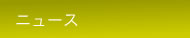 ニュース